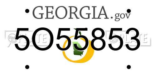 5O55853 Georgia License Plate