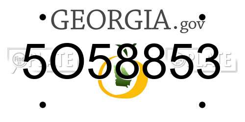 5O58853 Georgia License Plate