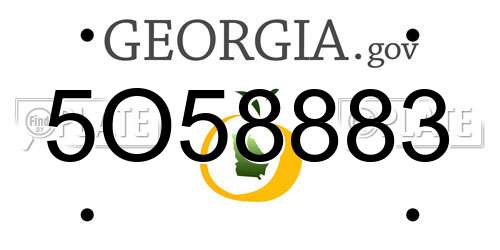 5O58883 Georgia License Plate