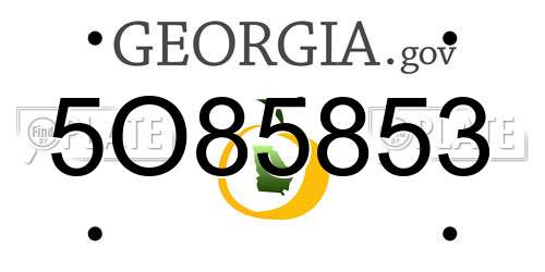 5O85853 Georgia License Plate