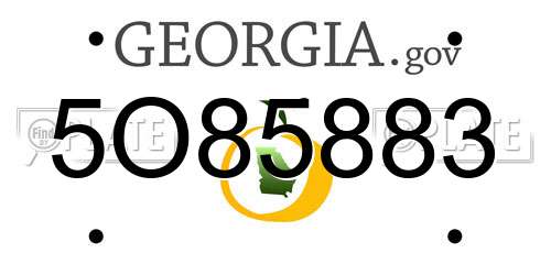 5O85883 Georgia License Plate