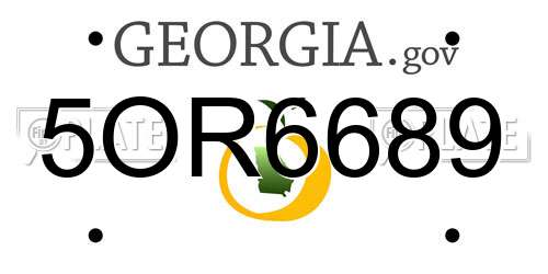 5OR6689 Georgia License Plate