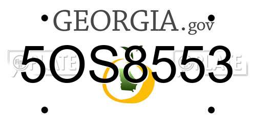 5OS8553 Georgia License Plate