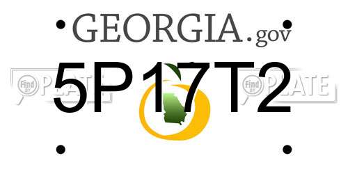 5P17T2 Georgia License Plate