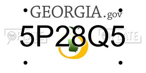 5P28Q5 Georgia License Plate