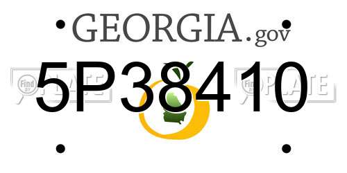 5P38410 Georgia License Plate