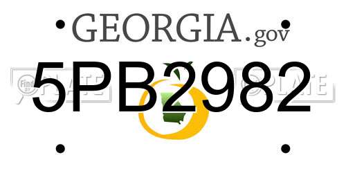 5PB2982 Georgia License Plate