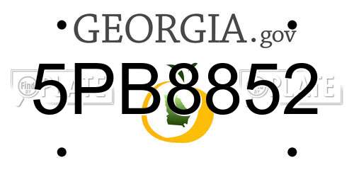 5PB8852 Georgia License Plate