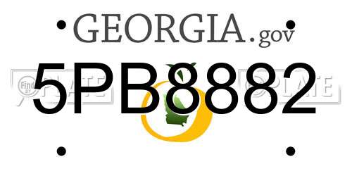 5PB8882 Georgia License Plate