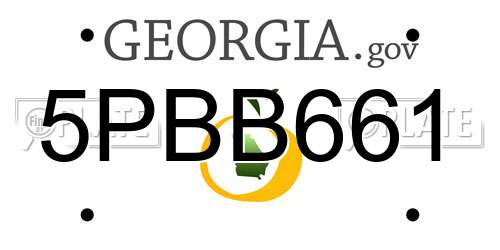 5PBB661 Georgia License Plate