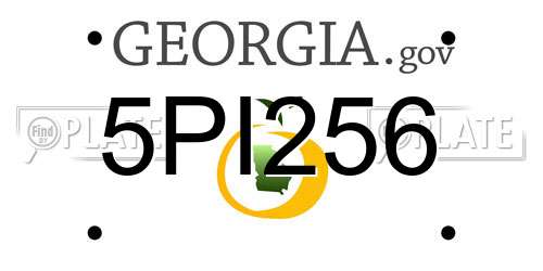 5PI256 Georgia License Plate