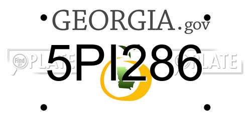 5PI286 Georgia License Plate