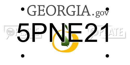 5PNE21 Georgia License Plate