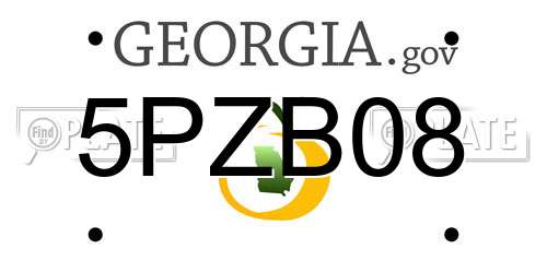 5PZB08 Georgia License Plate