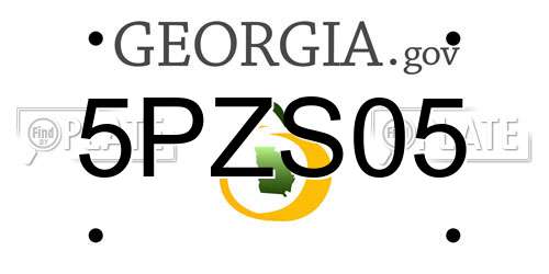 5PZS05 Georgia License Plate