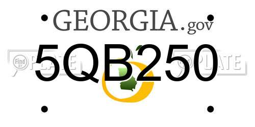 5QB250 Georgia License Plate