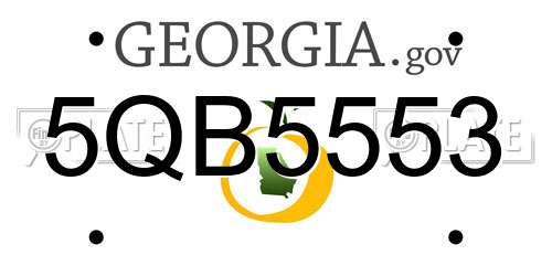 5QB5553 Georgia License Plate