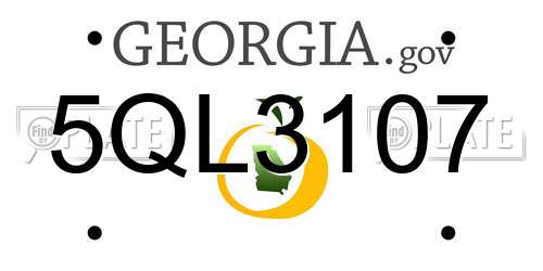 5QL3107 Georgia License Plate