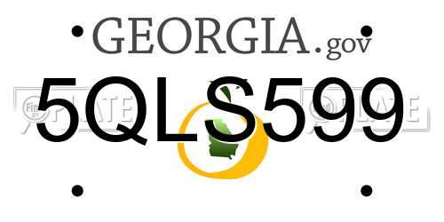 5QLS599 Georgia License Plate