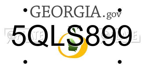 5QLS899 Georgia License Plate