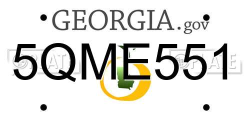5QME551 Georgia License Plate