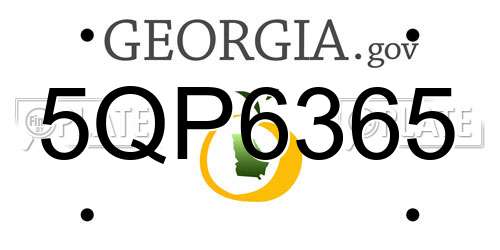 5QP6365 Georgia License Plate