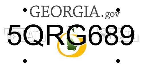 5QRG689 Georgia License Plate