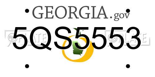 5QS5553 Georgia License Plate