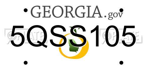 5QSS105 Georgia License Plate