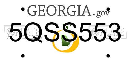 5QSS553 Georgia License Plate