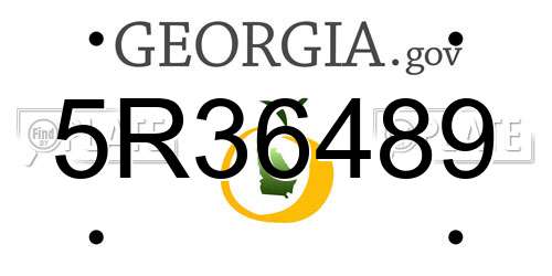 5R36489 Georgia License Plate