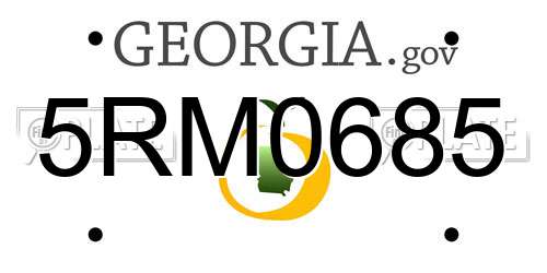 5RM0685 Georgia License Plate