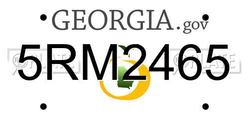 5RM2465 Georgia License Plate