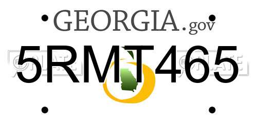 5RMT465 Georgia License Plate