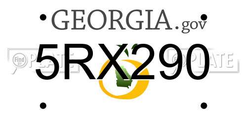 5RX290 Georgia License Plate
