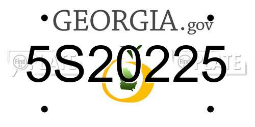 5S20225 Georgia License Plate