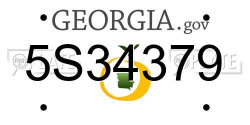 5S34379 Georgia License Plate