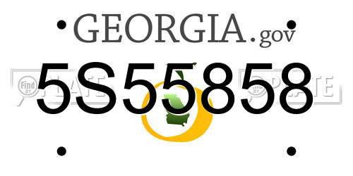 5S55858 Georgia License Plate