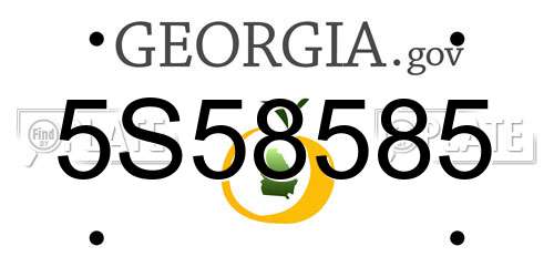 5S58585 Georgia License Plate