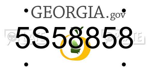 5S58858 Georgia License Plate