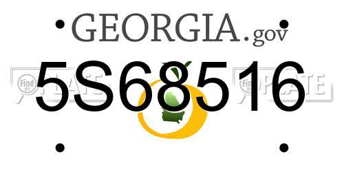 5S68516 Georgia License Plate