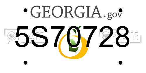 5S70728 Georgia License Plate