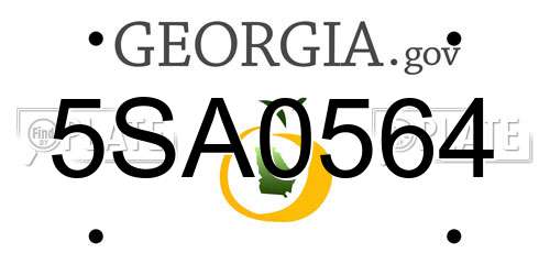 5SA0564 Georgia License Plate