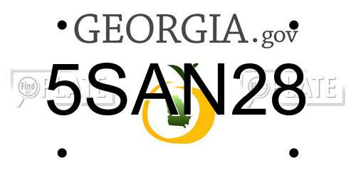 5SAN28 Georgia License Plate