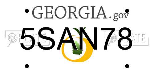 5SAN78 Georgia License Plate