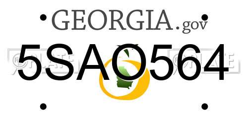 5SAO564 Georgia License Plate