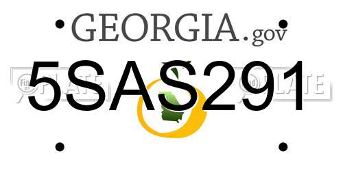 5SAS291 Georgia License Plate