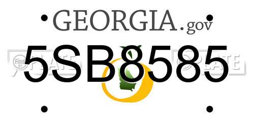 5SB8585 Georgia License Plate