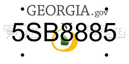 5SB8885 Georgia License Plate