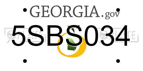 5SBS034 Georgia License Plate
